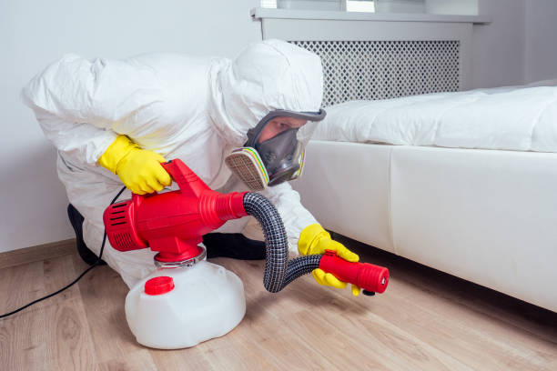 Best Ant Control Services  in Pleasant Hills, OH