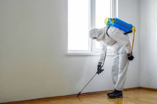 Best Cockroach Control Services  in Pleasant Hills, OH