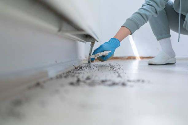 Best Pest Prevention Services  in Pleasant Hills, OH